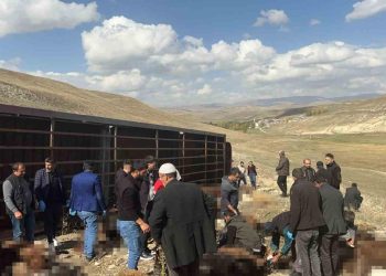 Erzurum’da hayvan yüklü tır devrildi: 130 küçükbaş telef oldu