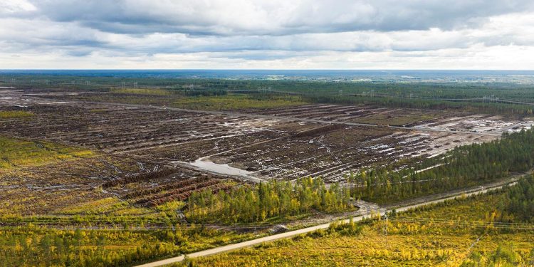 Finlandiya Google’ın veri merkezi alanı için orman temizlemesine cezai soruşturma başlattı