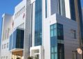 Tarım Bakanlığı’ndan sebze üreticilerine fide desteği