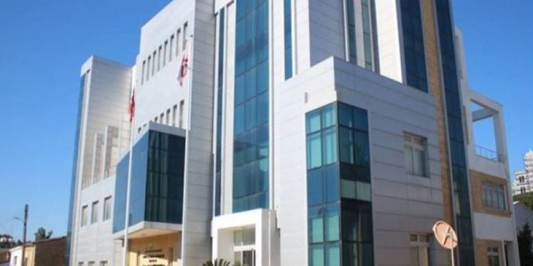 Tarım Bakanlığı’ndan sebze üreticilerine fide desteği