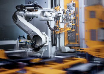 Bilim dünyasında bir ilk: İnsan beyin hücreleriyle çalıştırılan robot köpek geliştirildi