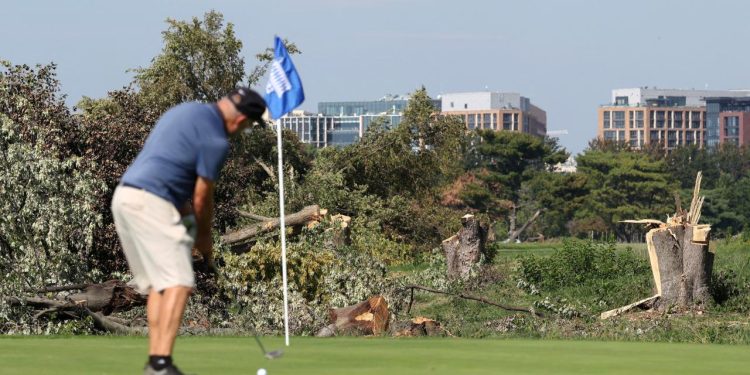 Trump yönetiminin Washington’daki golf sahasında yaptığı ağaç kesimi durduruldu
