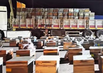 Hakkari’de arı kovanlarına gizlenmiş 91 kilogram uyuşturucu ele geçirildi