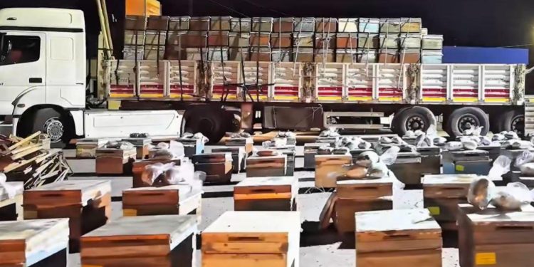 Hakkari’de arı kovanlarına gizlenmiş 91 kilogram uyuşturucu ele geçirildi